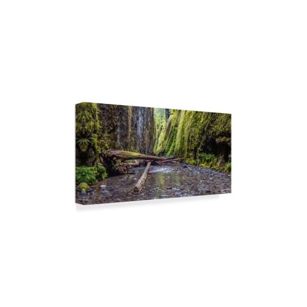 Pierre Leclerc 'Oneonta Gorge' Canvas Art,10x19